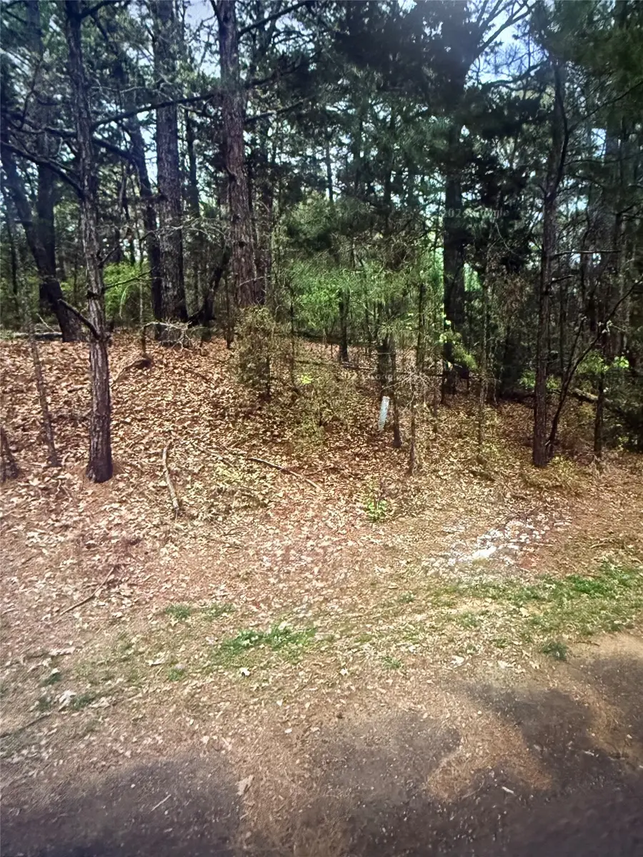0 County Road 375, Palestine, TX 75801 - #3