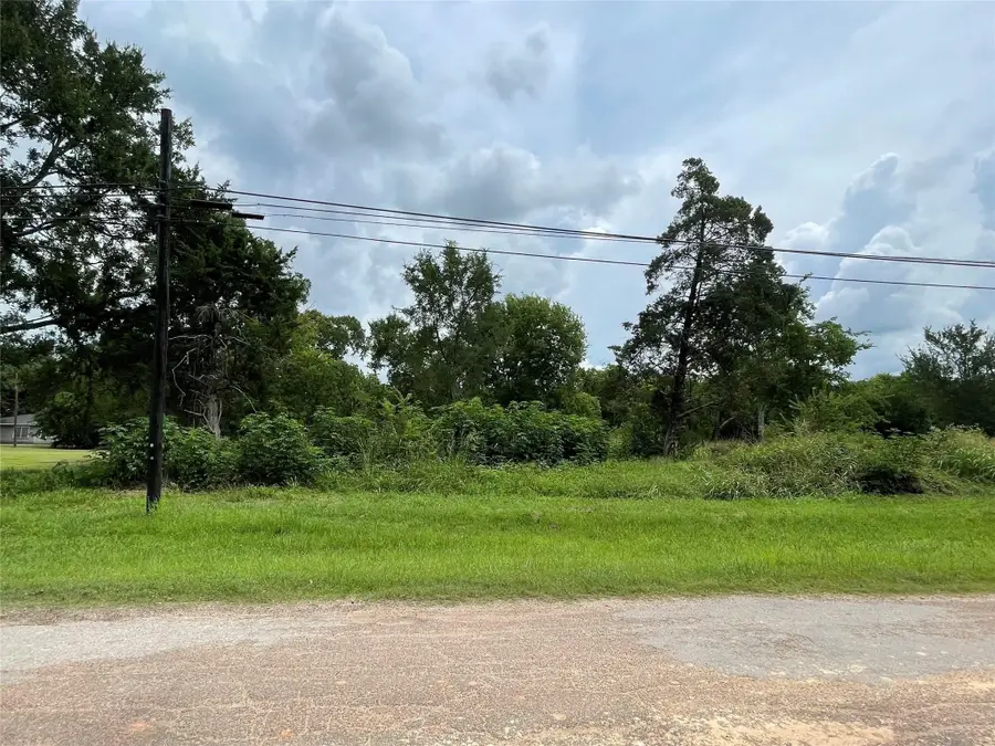 0 Guyler Street, Wallis, TX 77485 - #3