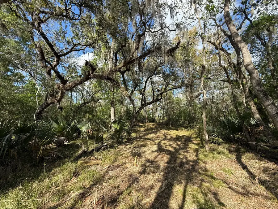 Tract 1 County Road 332, Sweeny, TX 77480 - #2