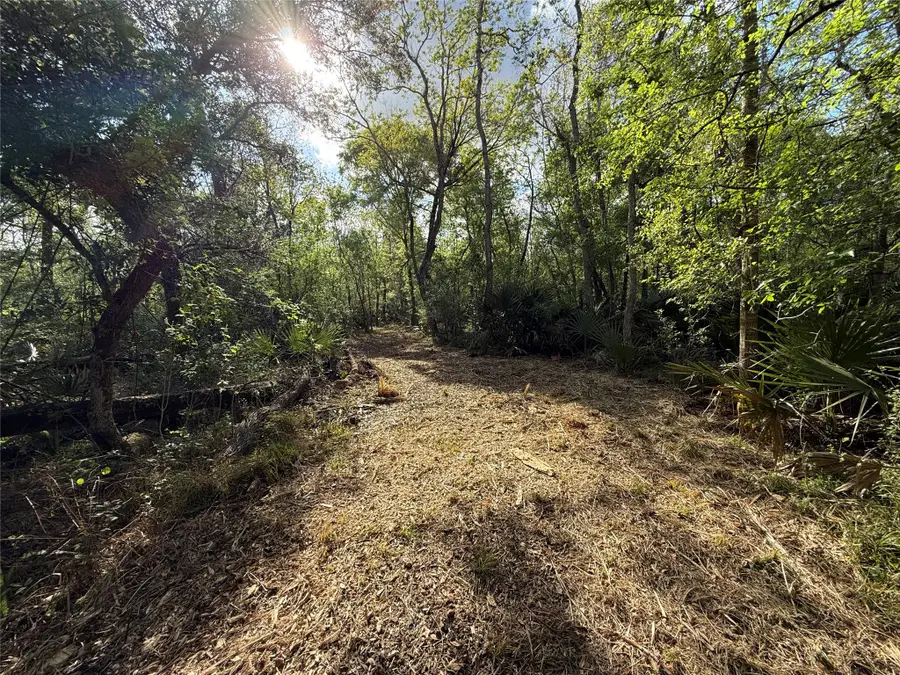 Tract 1 County Road 332, Sweeny, TX 77480 - #3