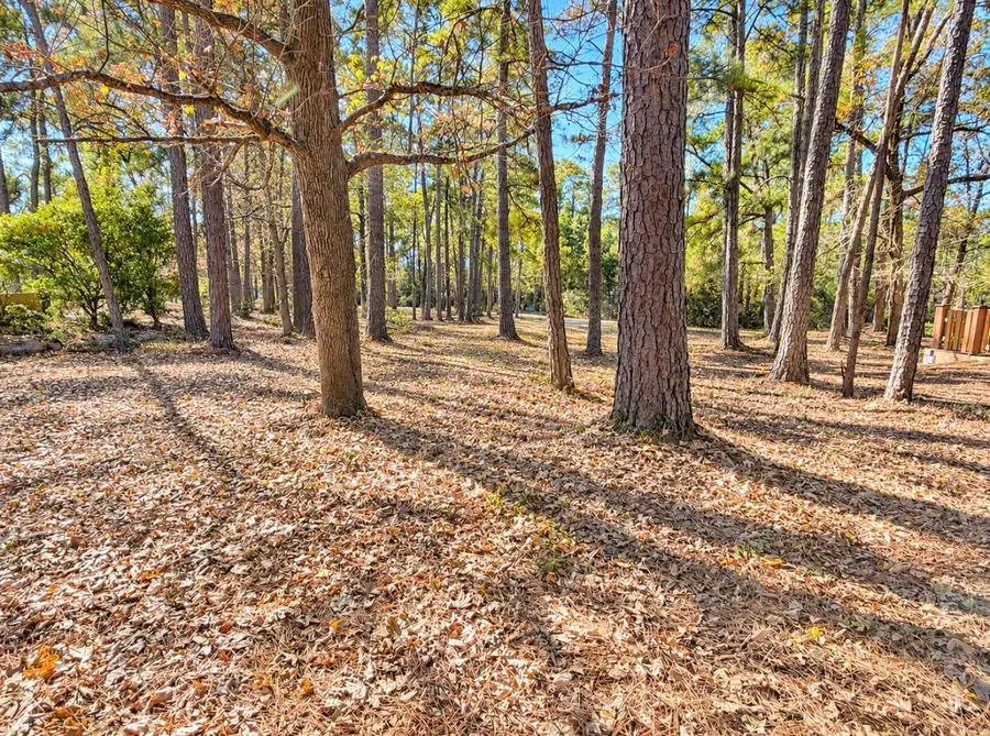 PID36058 Private Road 6070, Brookeland, TX 75931 - #3