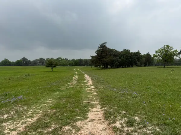 5719-4 Farm To Market 2238, Schulenburg, TX 78956