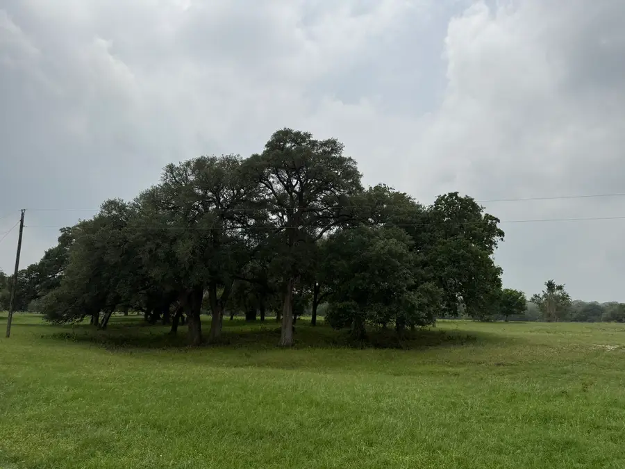 5719-4 Farm To Market 2238, Schulenburg, TX 78956 - #3