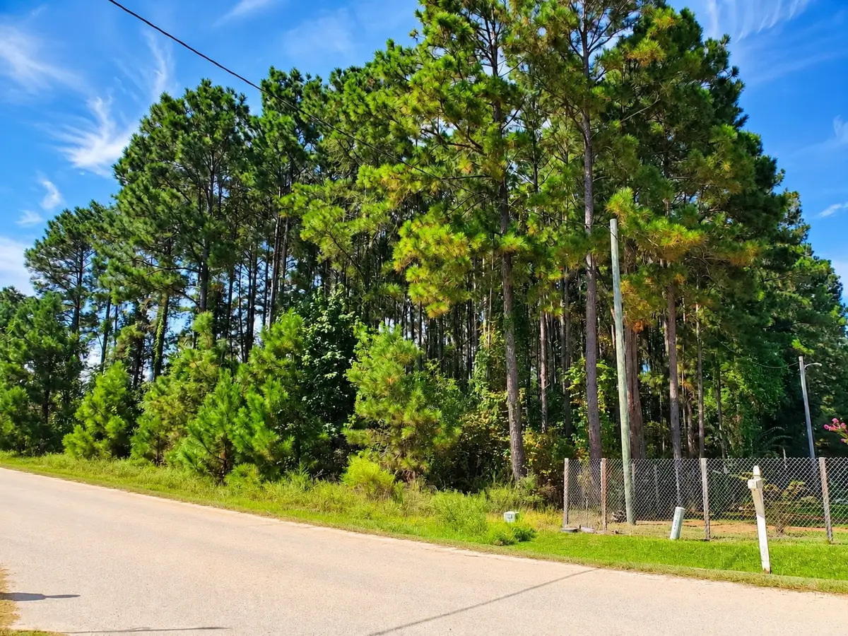 1307 County Road 3479j, Cleveland, TX 77327 - #1