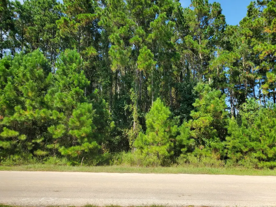 1307 County Road 3479j, Cleveland, TX 77327 - #3
