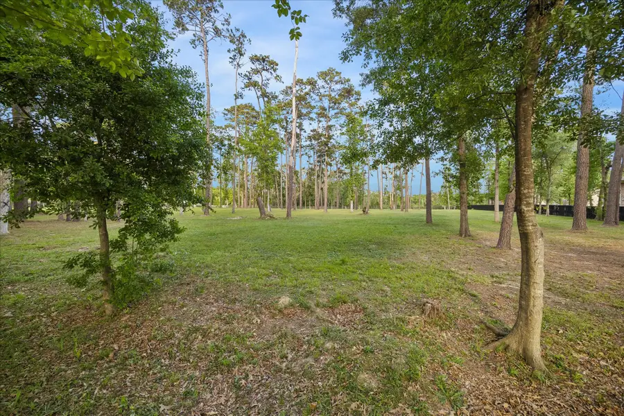 19629 Fm 1485 Road, New Caney, TX 77357 - #3