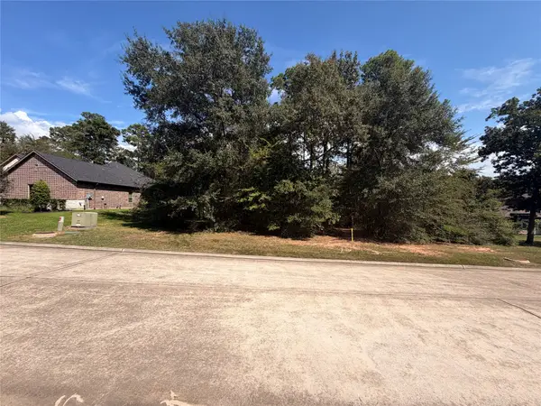 313 Pine Brook Drive, Montgomery, TX 77356