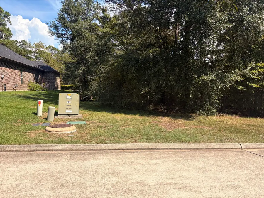 313 Pine Brook Drive, Montgomery, TX 77356 - #2