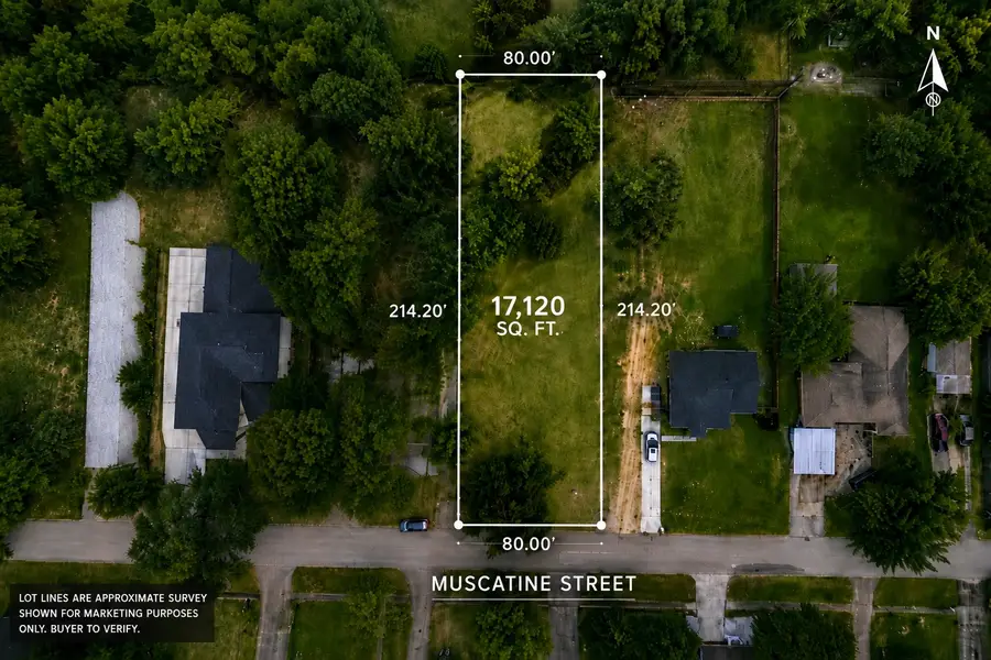 10525 Muscatine Street, Houston, TX 77029 - #3