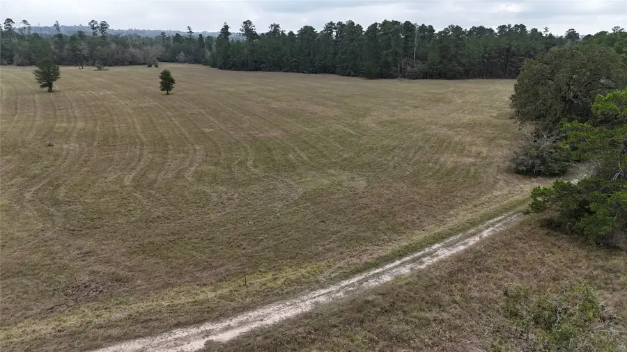 TBD Tract 2 Percy Howard Road, Huntsville, TX 77320 - #3