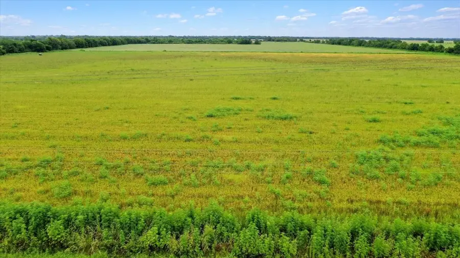 00 Old Boenisch Rd, Garwood, TX 77442 - #2