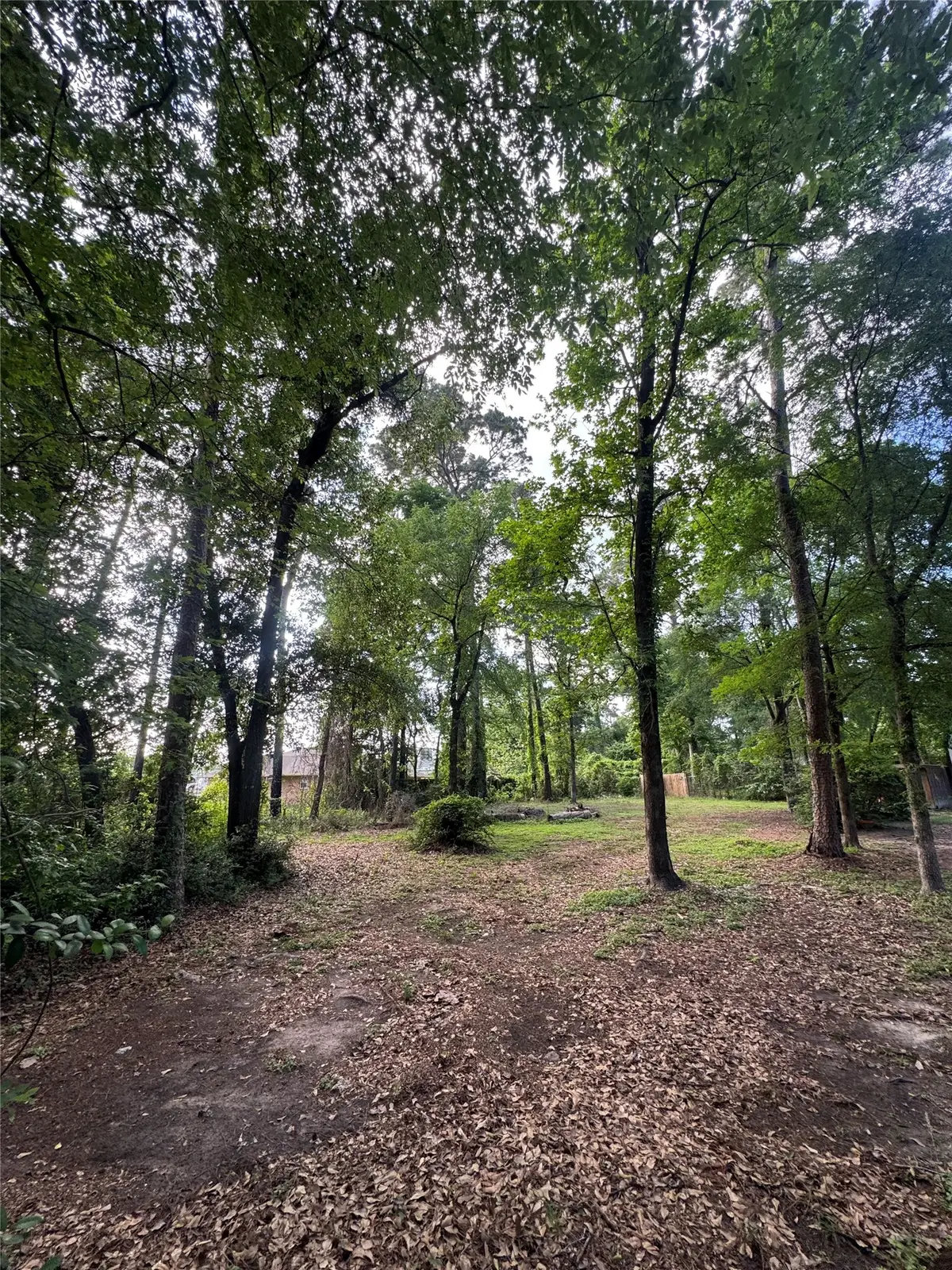 0 Sagewood Drive, Spring, TX 77386 - #1