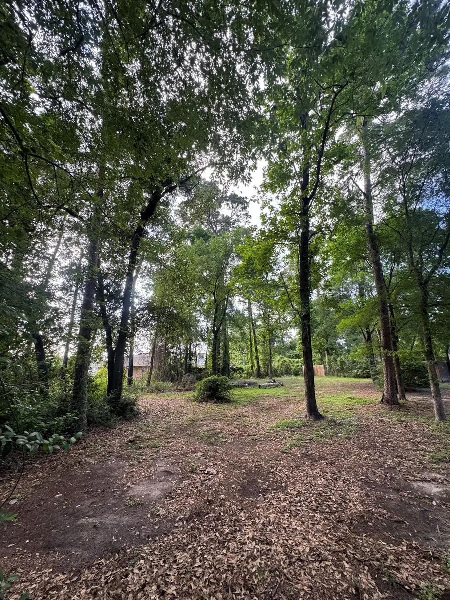 0 Sagewood Drive, Spring, TX 77386 - #2