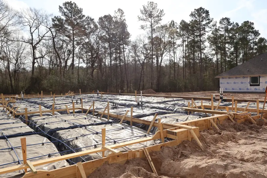 110 Roebuck Lane, New Waverly, TX 77358 - #2