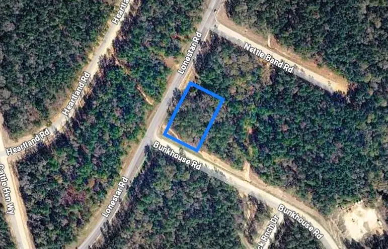105 Bunkhouse Road, New Waverly, TX 77340 - #3