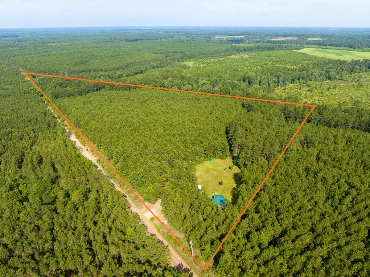 1 S Caney Road, Groveton, TX 75845 - #1