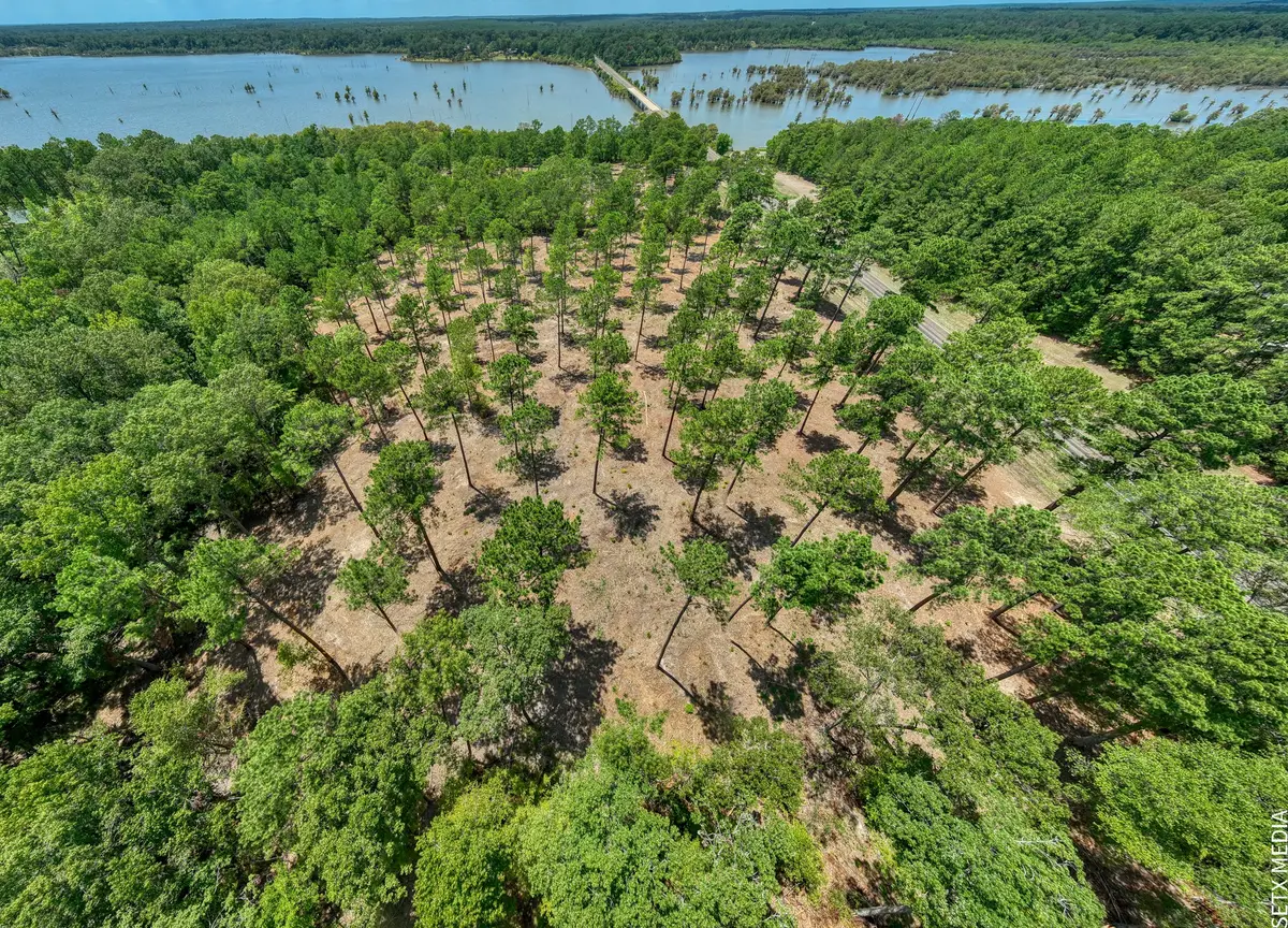 013 Fm 83, Broaddus, TX 75929 - #1