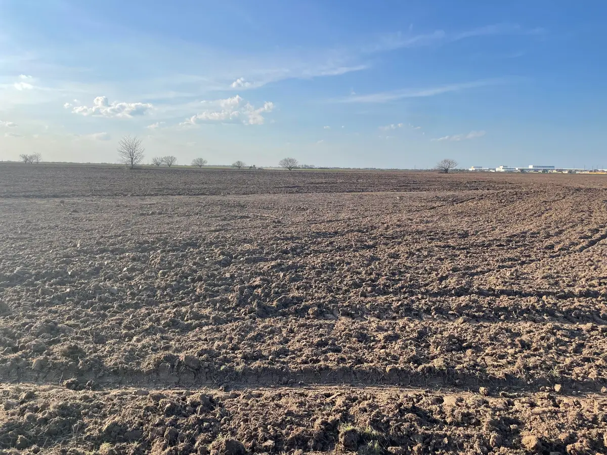 0 Orange Hill Rd Road, Sealy, TX 77474 - Image #1