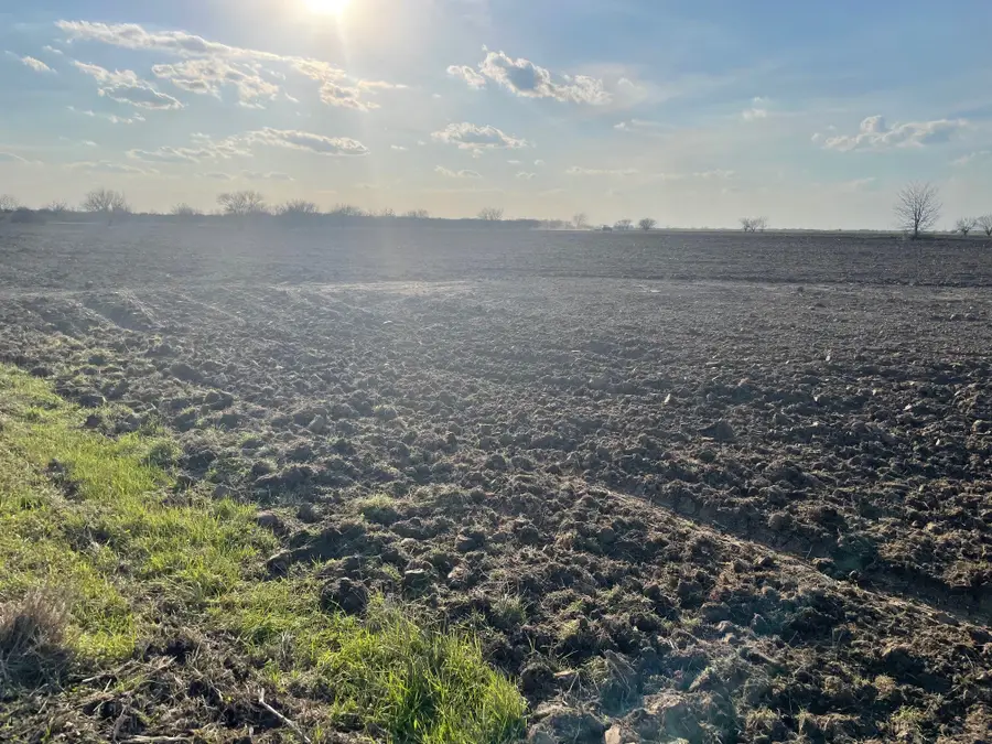 0 Orange Hill Rd Road, Sealy, TX 77474 - Image #2