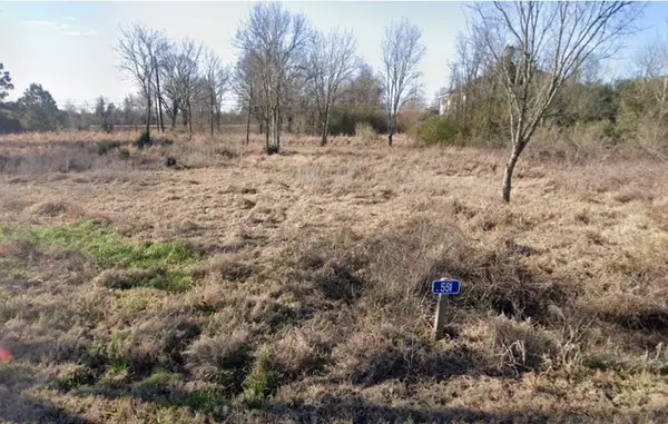 551 W Amaryllis Street, Waller, TX 77484