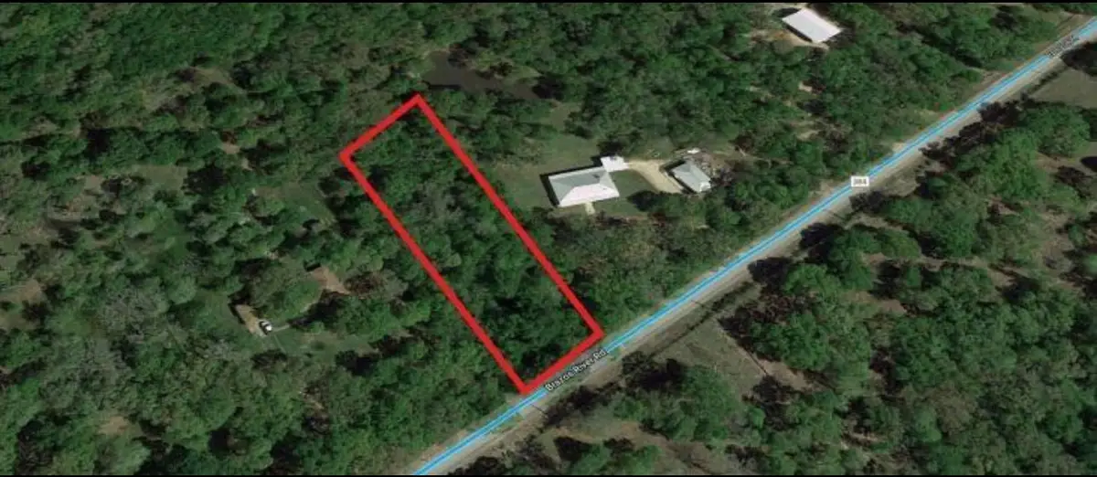 8301 Brazos River Road, Damon, TX 77430 - #1