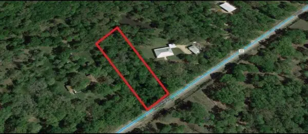 8301 Brazos River Road, Damon, TX 77430