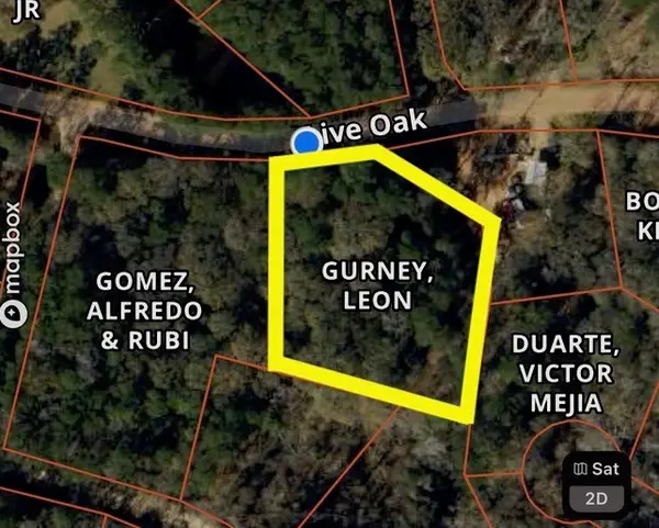TBD Live Oak Drive, Plantersville, TX 77363