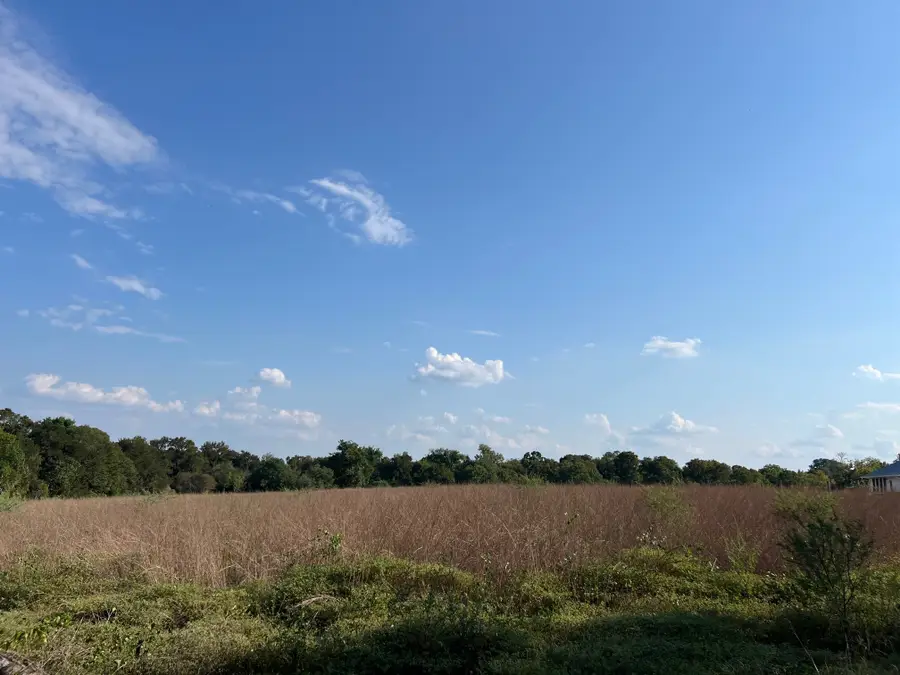 TBD Park Lane, Chappell Hill, TX 77426 - Image #3