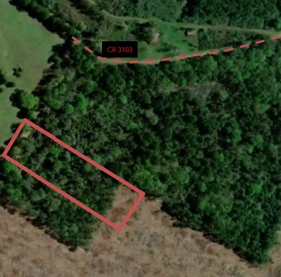 3.50AC County Road 3103, Call, TX 75933 - #1