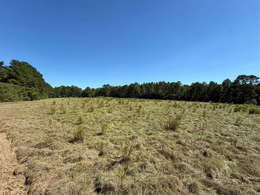 1318 County Road 2011, Newton, TX 75966 - #2