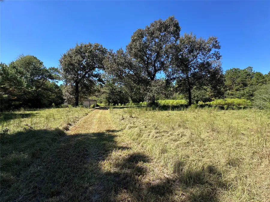 1318 County Road 2011, Newton, TX 75966 - #3