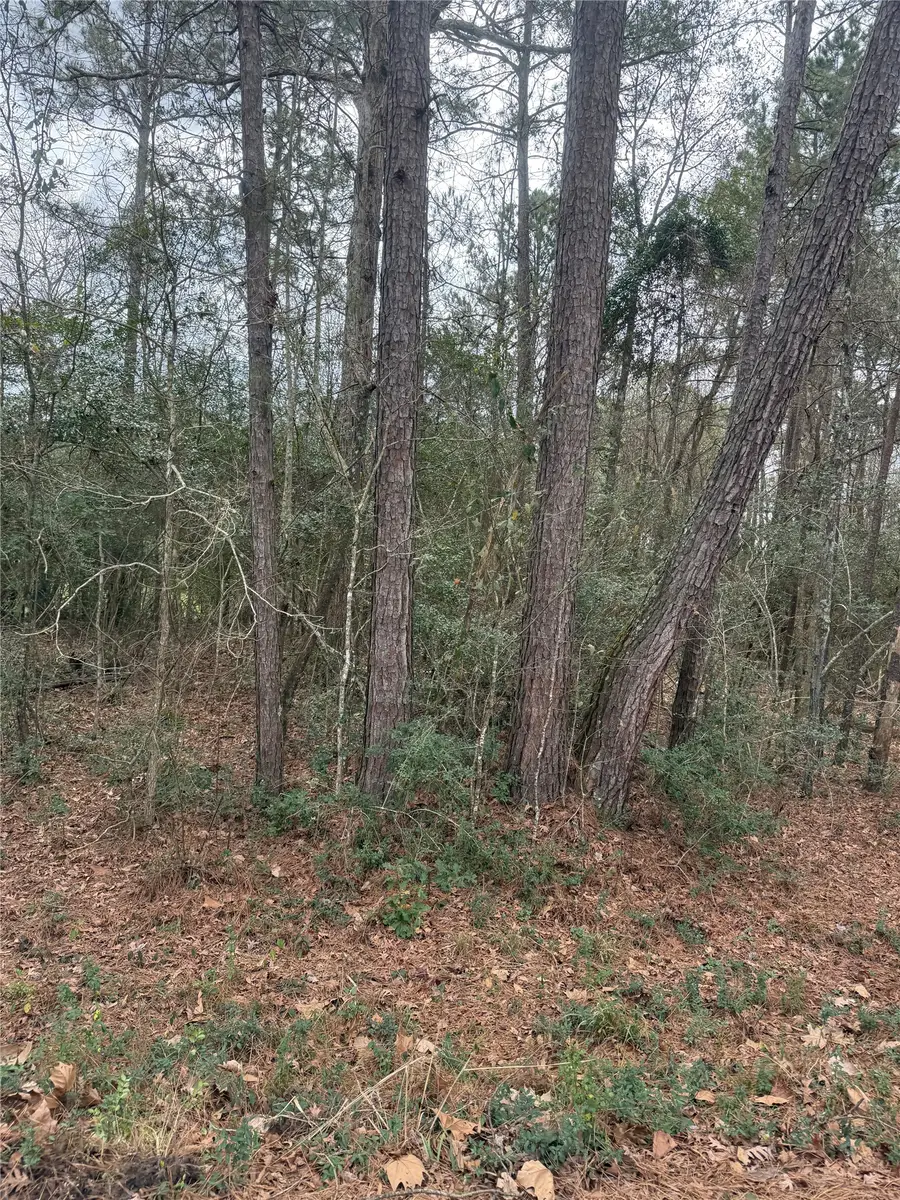 TBD Whippoorwill Lane, Point Blank, TX 77364 - #2
