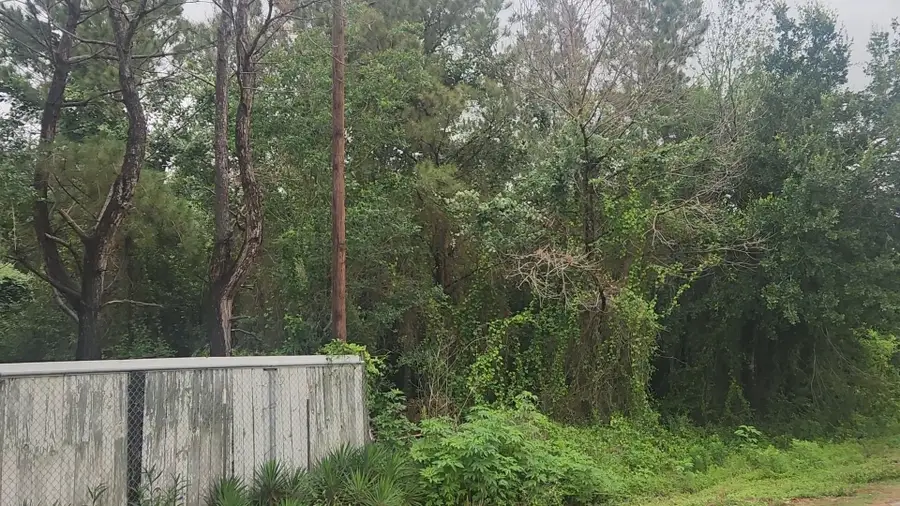 Lot 61 Greenfield Road, Hempstead, TX 77445 - #3