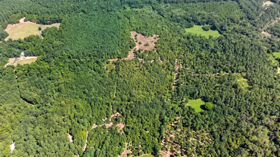 10875 Fm 1972, Gilmer, TX 75645 - #3