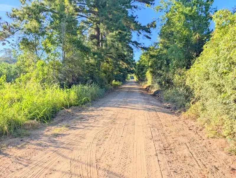 TBD County Road 3385, Lovelady, TX 75851 - #3