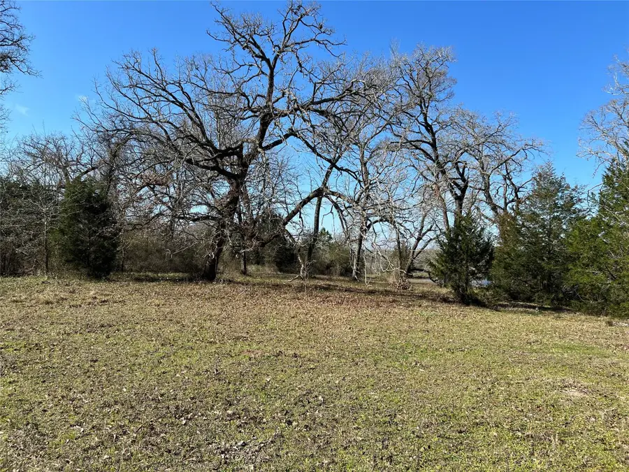 19285 Moriarty Rd, Richards, TX 77873 - #3