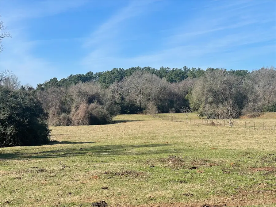 TBD Fm 1119, Centerville, TX 75833 - #2
