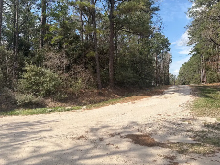 TBD Little Ponderosa Drive, Onalaska, TX 77360 - #3