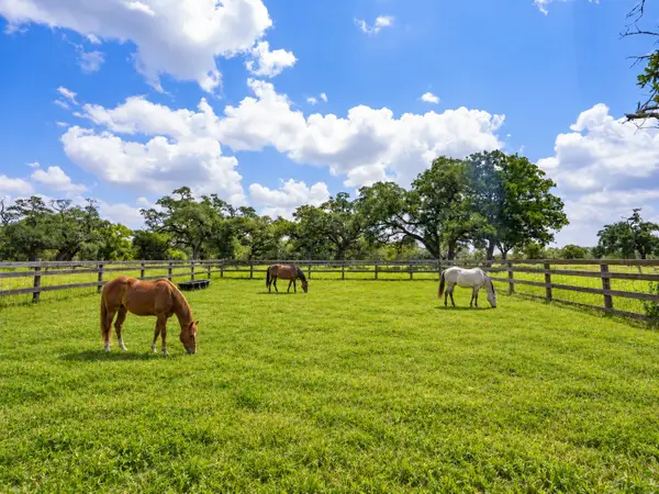 2751 Fm 2434, Columbus, TX 78962