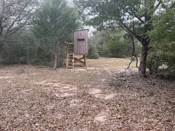 TBD Private Road 1019, Hallettsville, TX 77964