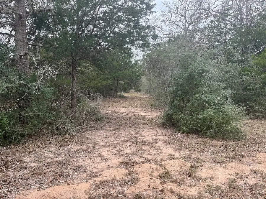 TBD Private Road 1019, Hallettsville, TX 77964 - Image #3