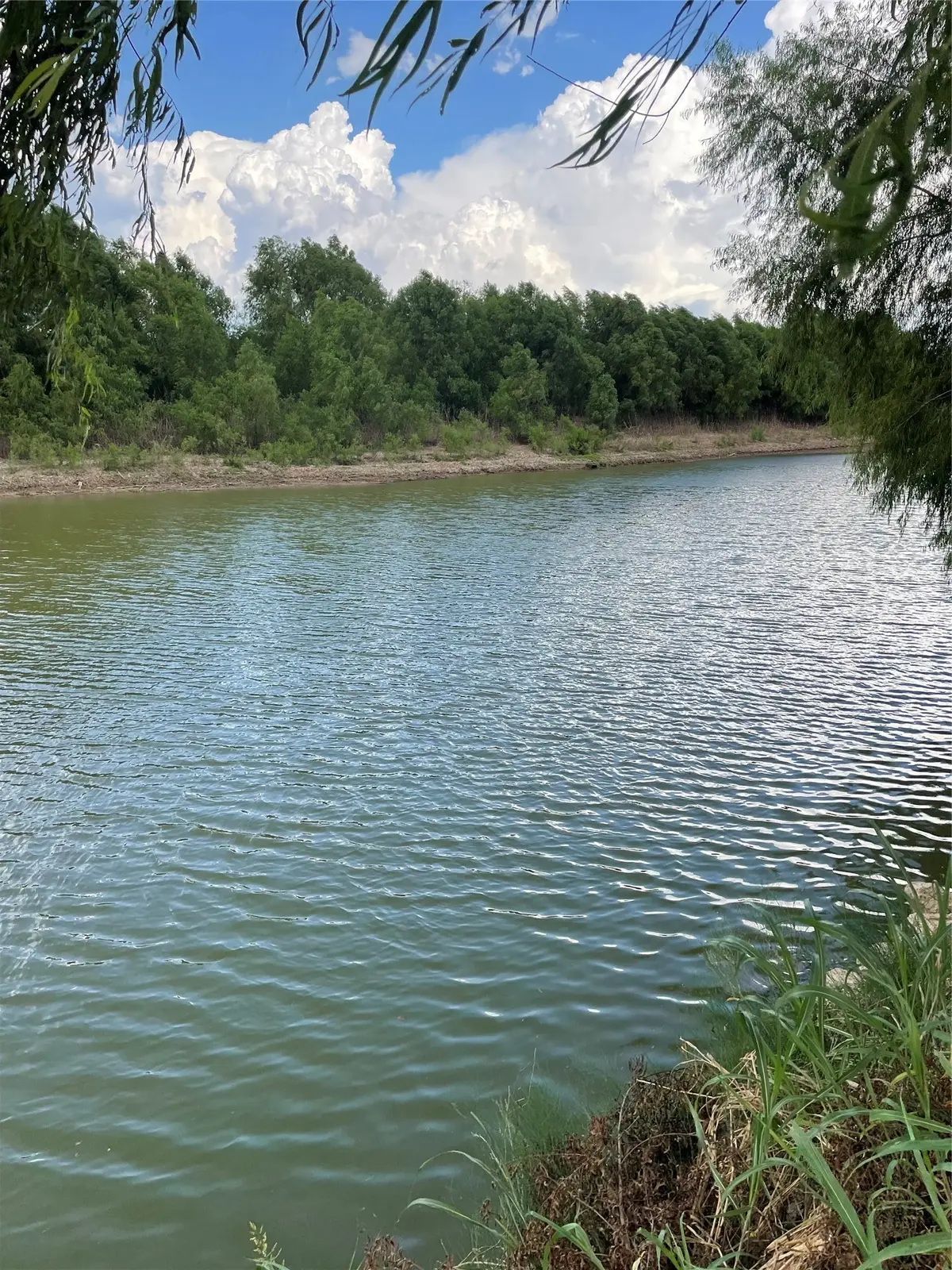1106 County Road 180, Nada, TX 77460 - #1
