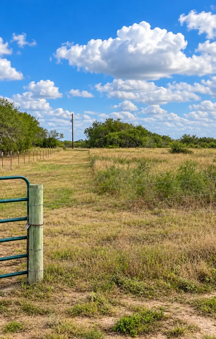 326 County Rd 156, Kenedy, TX 78119 - #3
