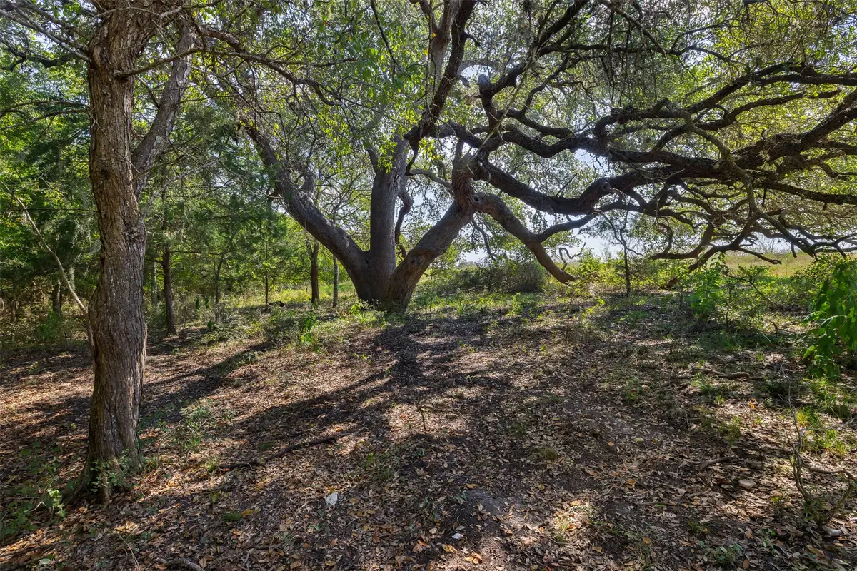 TBD Roznov Road, Fayetteville, TX 78940 - #1