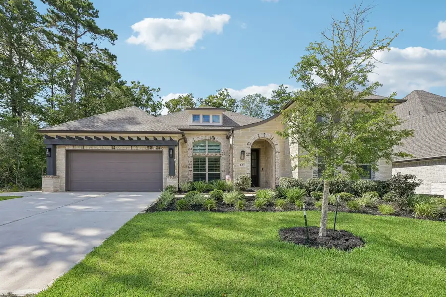 123 Trailhead Ridge Court, Conroe, TX 77318 - #3
