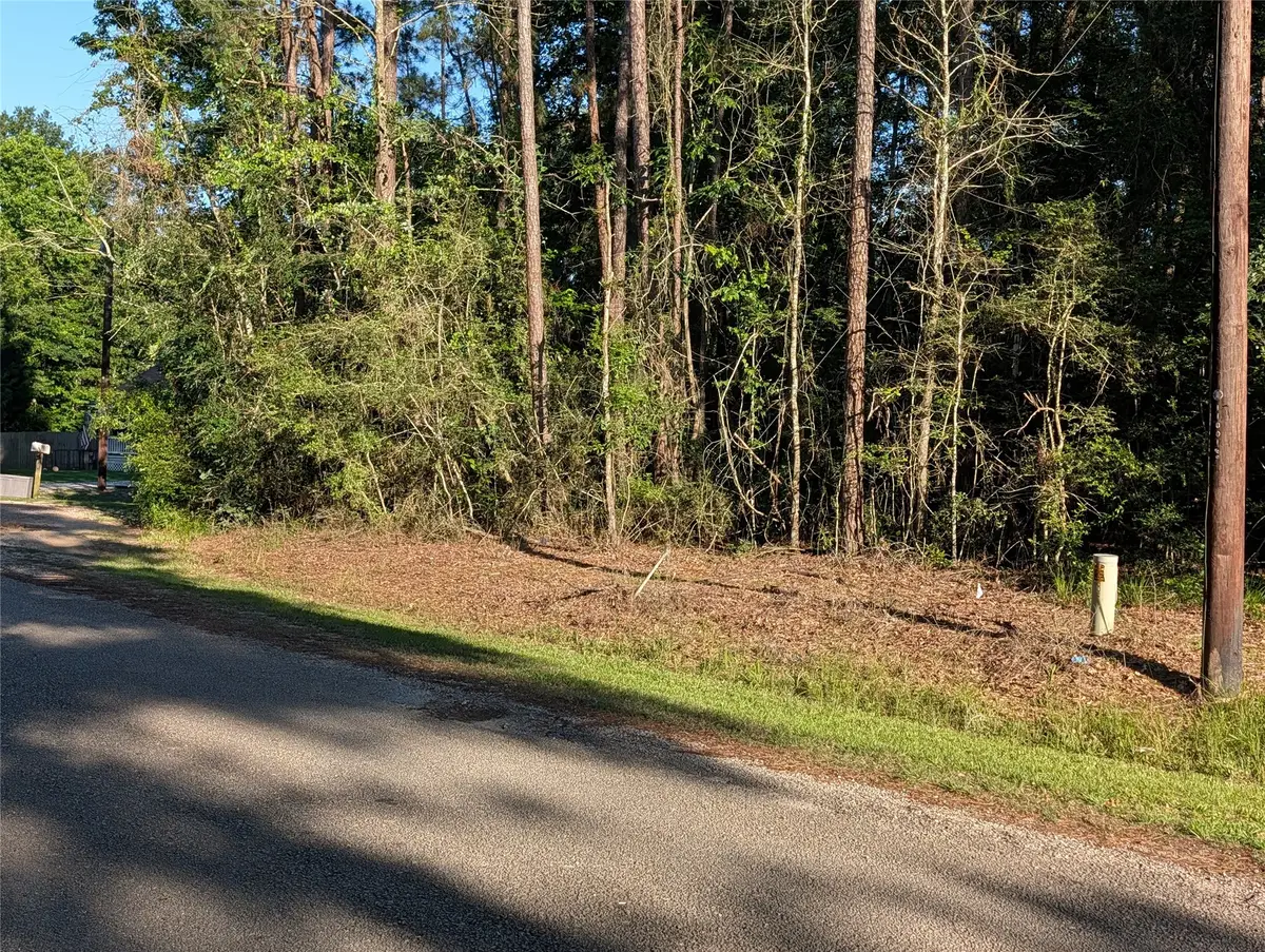 TBD Moss Circle, Southeast Montgomery, TX 77328 - #1