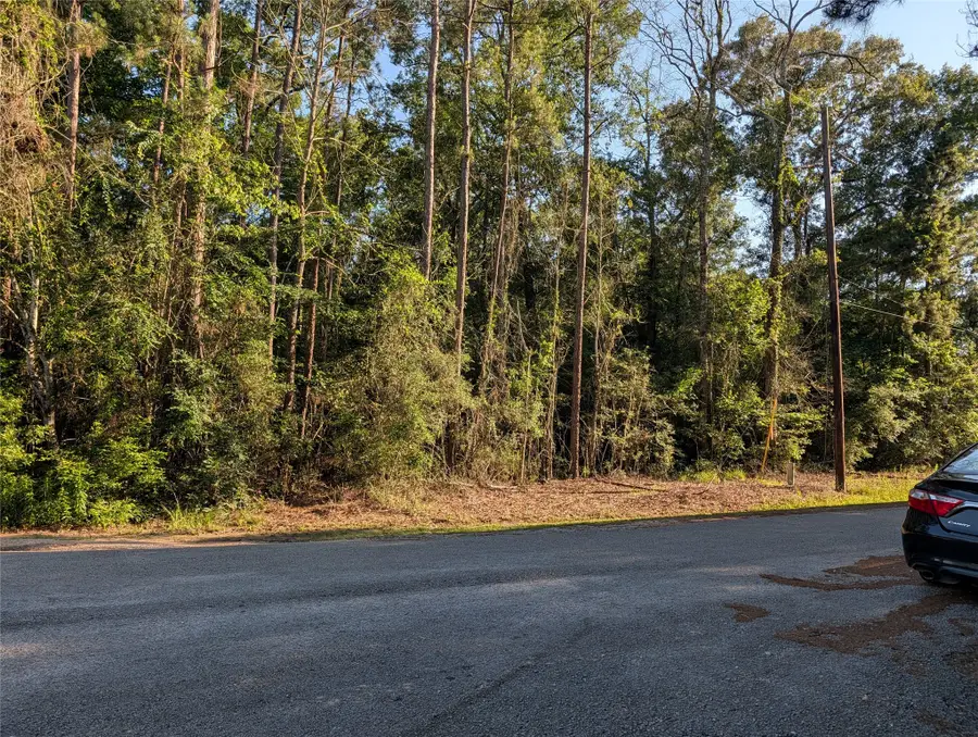 TBD Moss Circle, Southeast Montgomery, TX 77328 - #2