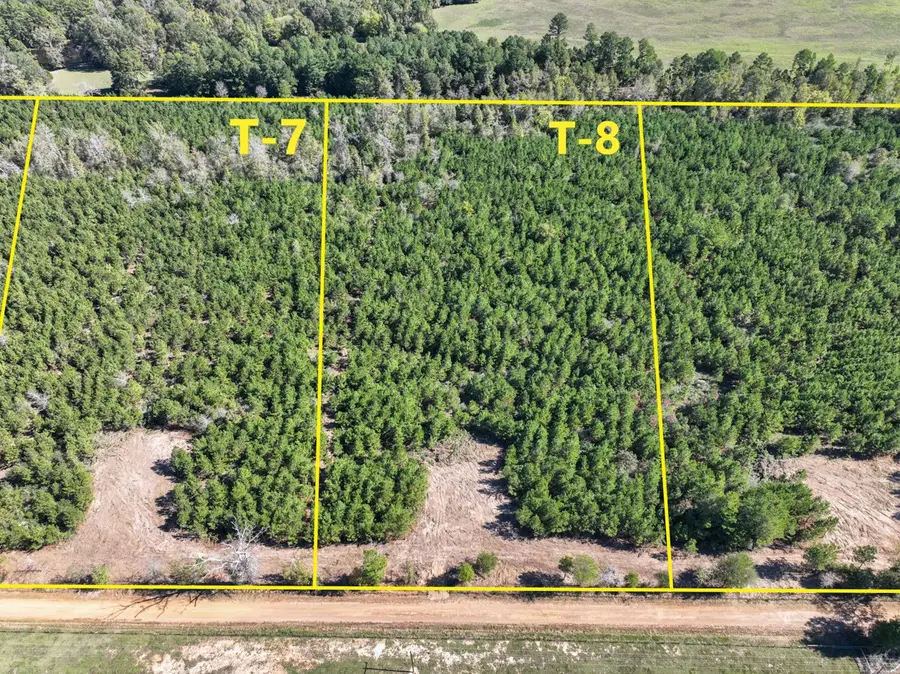 7 County Road 3121, Long Branch, TX 75669 - #3