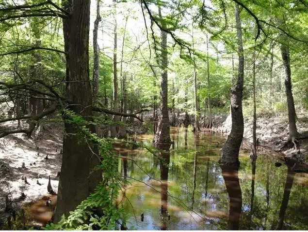 12615 Beaver Brook Street, Lumberton, TX 77657 - #3