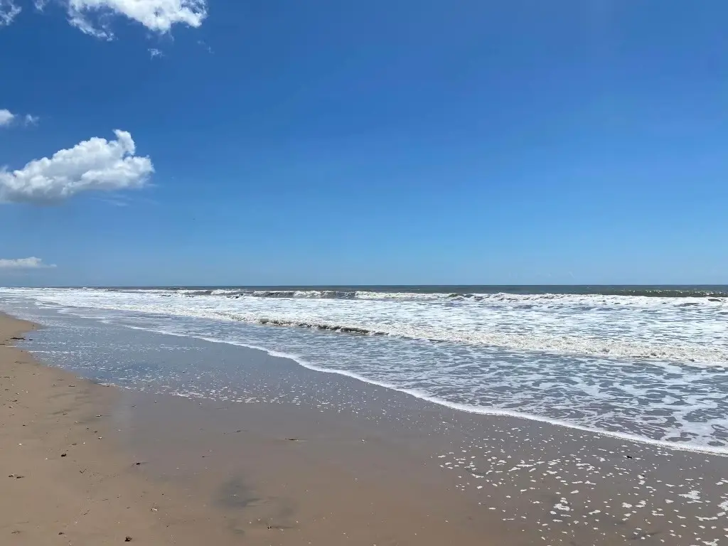 996 Evans Street, Gilchrist, TX 77617 - Image #1